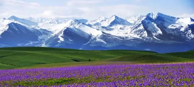 新疆科技之光，革新生活的高科技产品展示